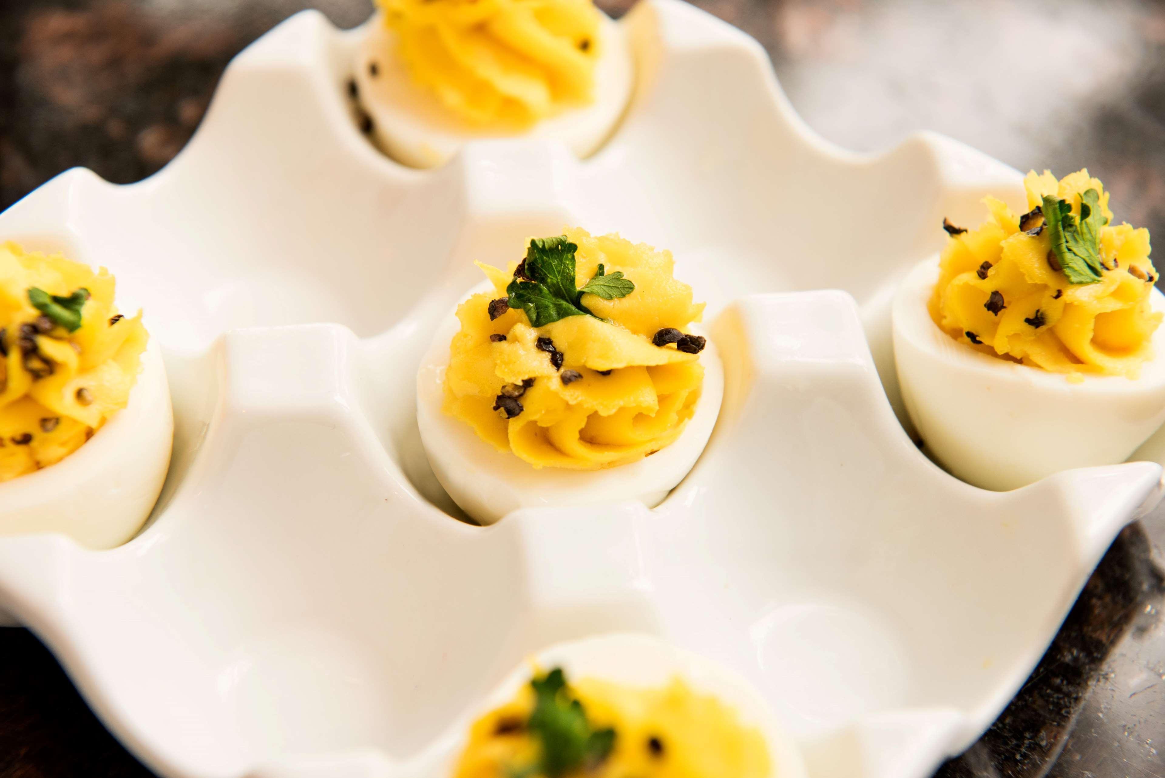 Hilton Chicago/Oak Lawn Hotel Ngoại thất bức ảnh